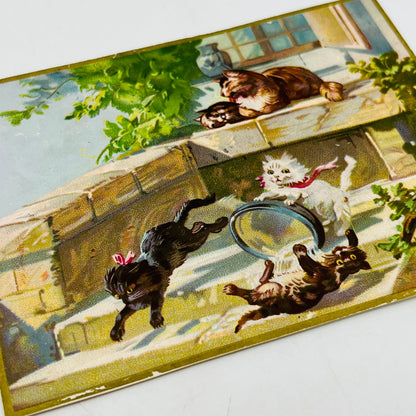 1880s Embossed Victorian Greeting Card Illustrated Kitty Cats Playing SAH9-H7