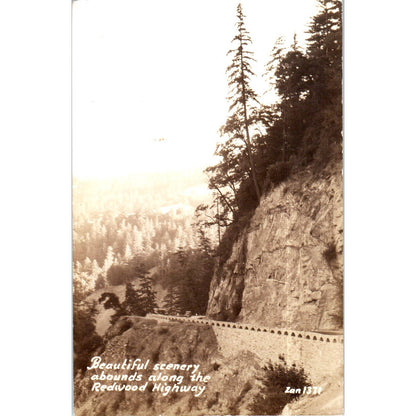 Beautiful Scenery Redwood Highway RPPC Original Postcard TK1-P12