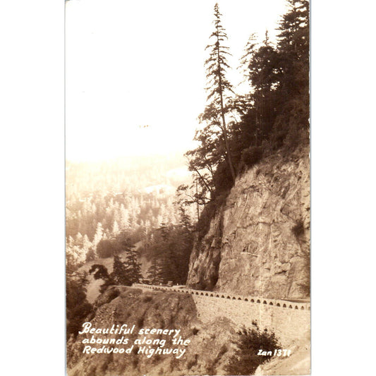 Beautiful Scenery Redwood Highway RPPC Original Postcard TK1-P12