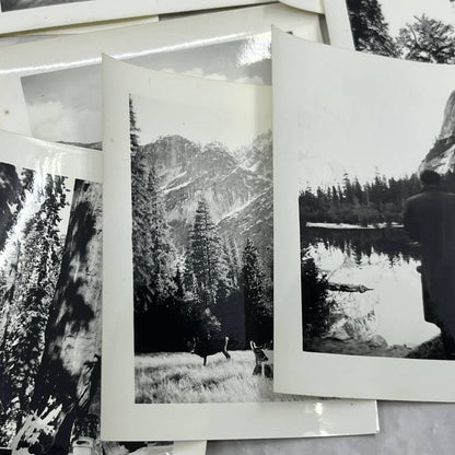 1939 Collection of Photos & Negatives of Yellowstone Park in the Winter TJ9-PG6