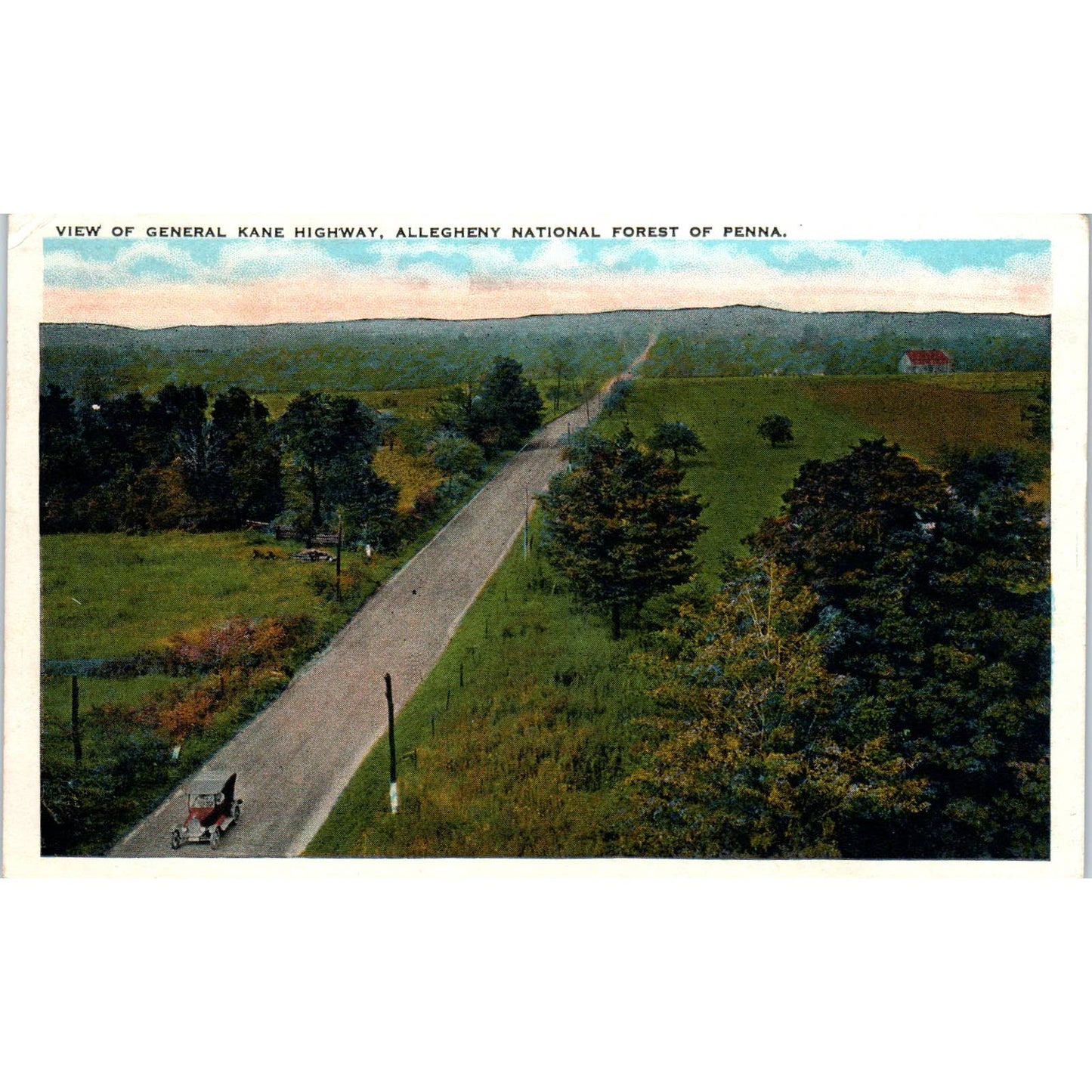 1930 Postcard View of General Kane Highway Allegheny National Forest PA TI1-1