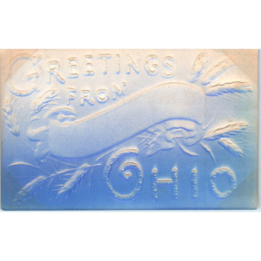 1909 Postcard Embossed Airbrushed Greetings from Ohio OH TD8-O2