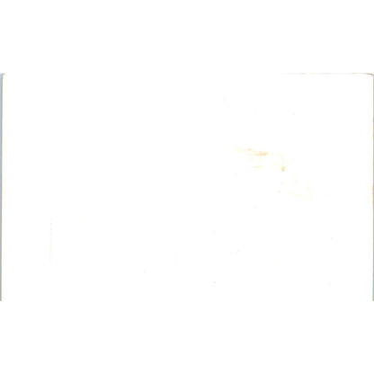 Reflections Lake & Mountain View Schallerer RPPC Alaska Original Postcard TK1-29