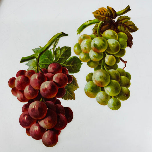 1880s LARGE Victorian Die Cut Red and Green Grapes Set 5 1/2” Each SAH9-H7