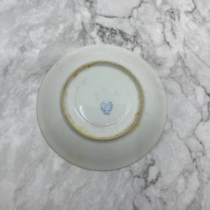 Vintage Fine China Saucer ONLY Fruit Apple Plum Grapes Pear Japan TA7-9
