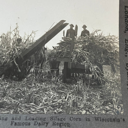 Harvesting Silage Corn Wisconsin's Dairy Region Antique Stereoview Card TJ9-V1