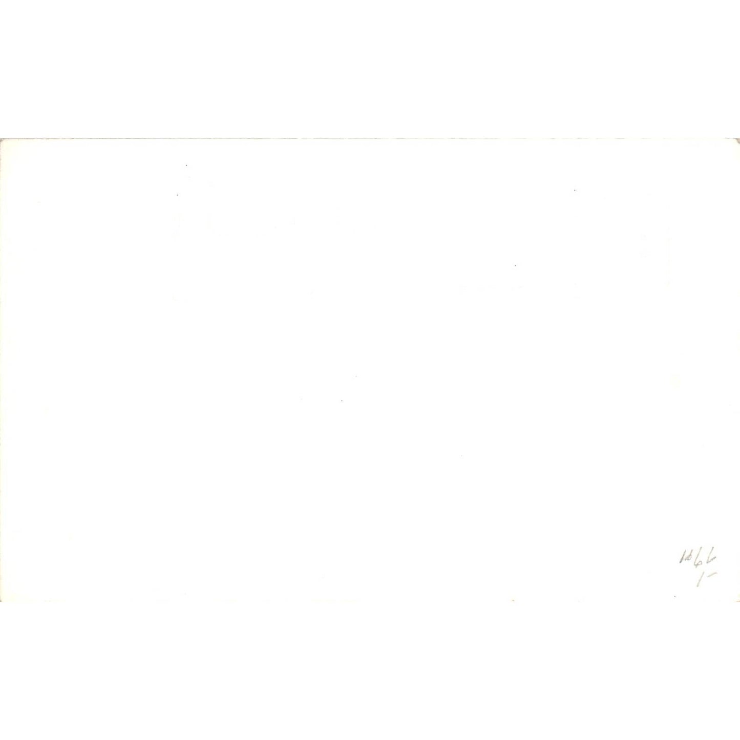 Los Angeles Ostrich Farm RPPC Original Postcard TK1-P12