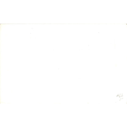 Los Angeles Ostrich Farm RPPC Original Postcard TK1-P12