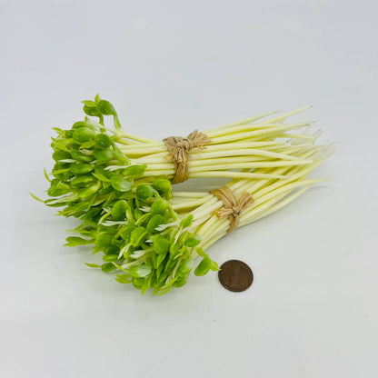 2 Bunches Vintage Artificial Fake Bean Sprouts TD3-5