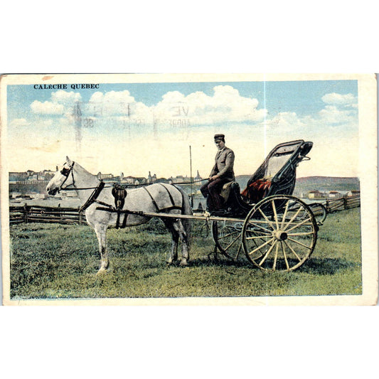 Caleche Quebec Horse and Buggy 1923 Original Postcard TK1-P19