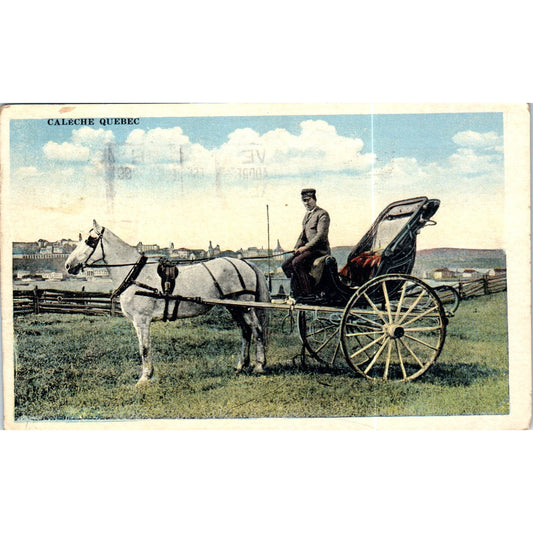 Caleche Quebec Horse and Buggy 1923 Original Postcard P2-4