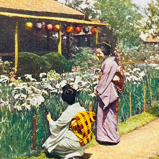 c1900 Stereoview Card Japanese Women in Horikiri Iris Garden Japan