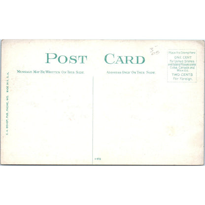 Dairy Farm Scene Cow Pasture c1910 Original Postcard P2-1