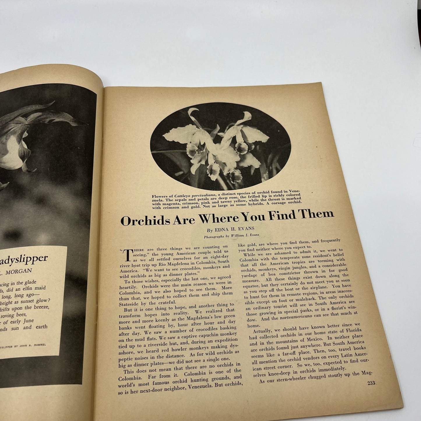 Nature Magazine May 1947 - Scarlet Tanager Hexom Orchids The Toad TH9