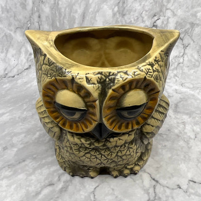 Vtg 1978 Double Sided Owl Ceramic Planter Jar Kitchen Storage Sleepy Eyes 7" TI7