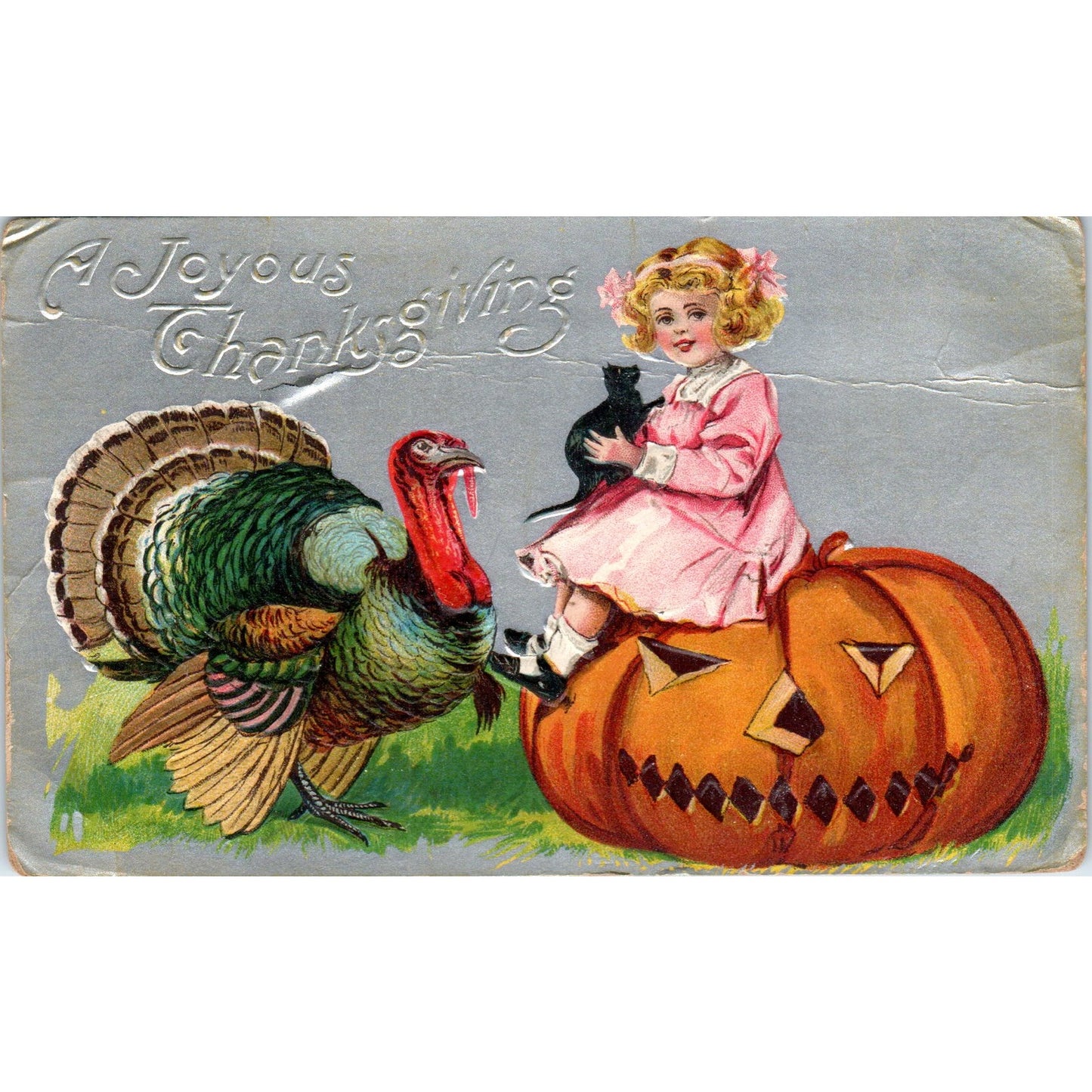 Thanksgiving Halloween Black Cat Jack O Lantern Turkey c1910 Postcard P1-14