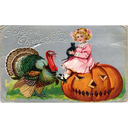 Thanksgiving Halloween Black Cat Jack O Lantern Turkey c1910 Postcard P1-14