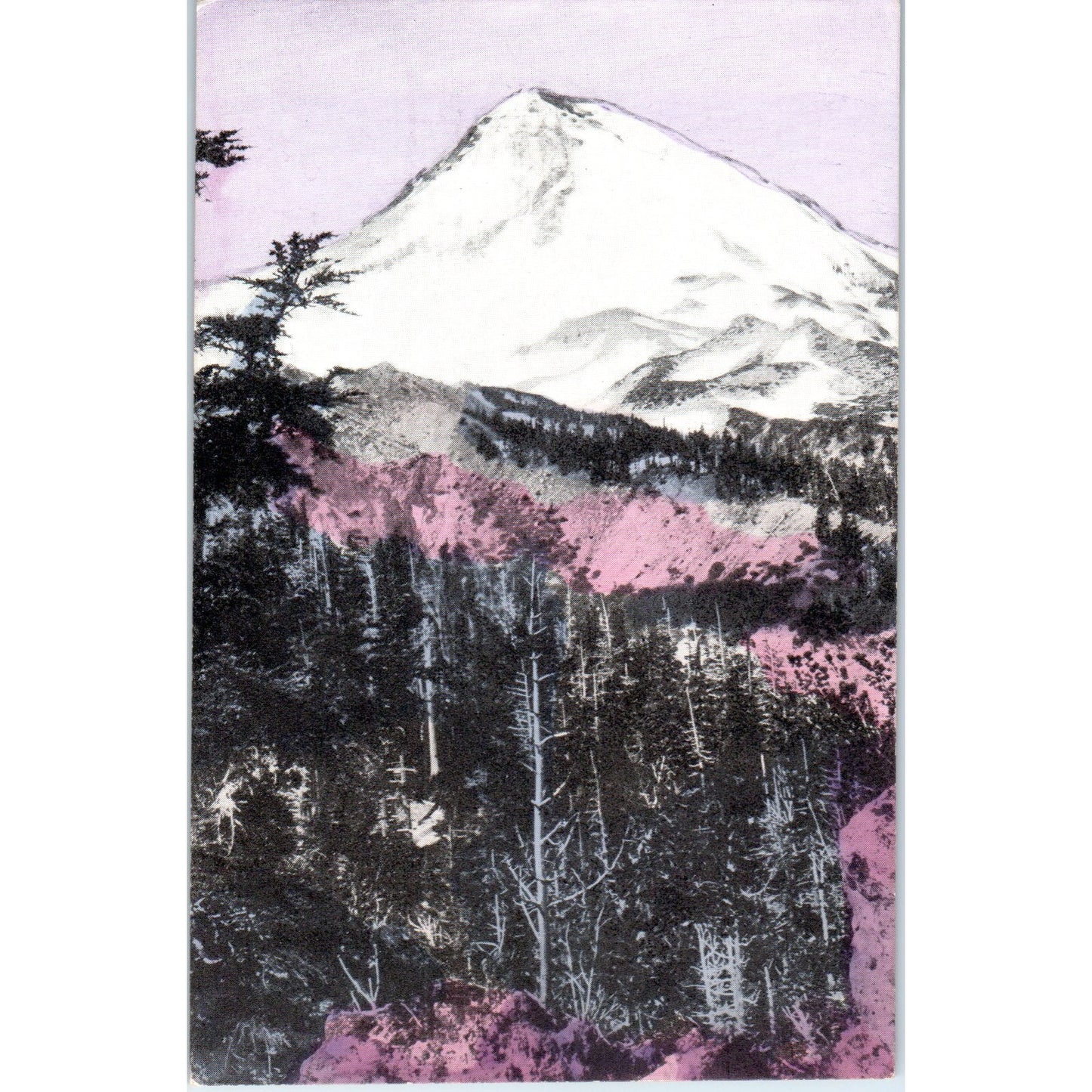 Mount Hood Oregon c1910 Original Postcard P1-12