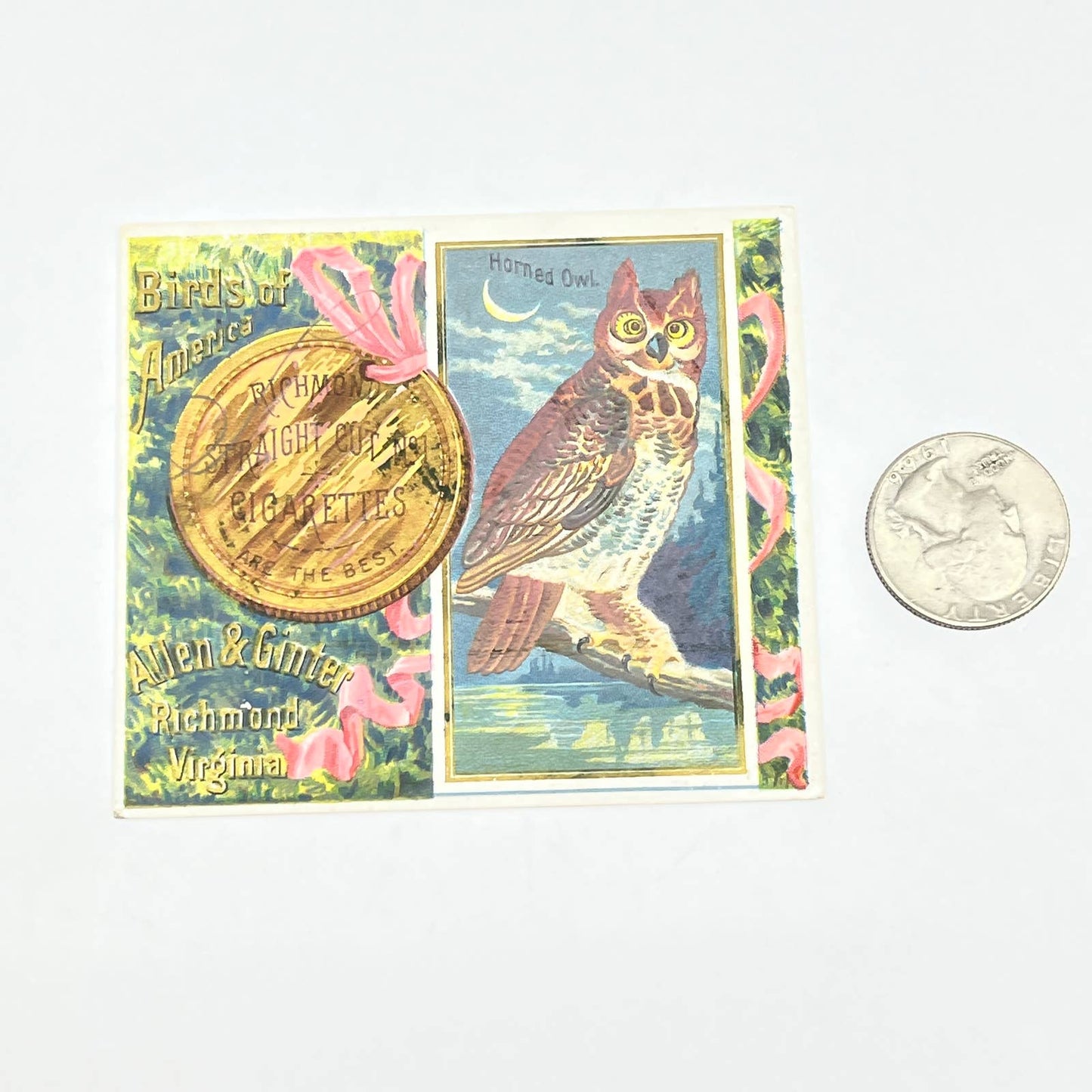 1890 N37 Allen & Ginter Cigarette Card Birds of America Horned Owl AC2