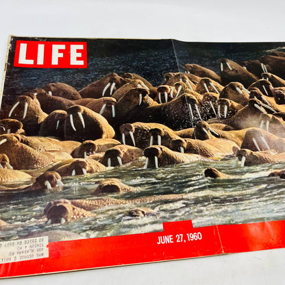 Life Magazine June 27, 1960 - Bearing The Alaskan Walrus / Arnold Palmer TA8