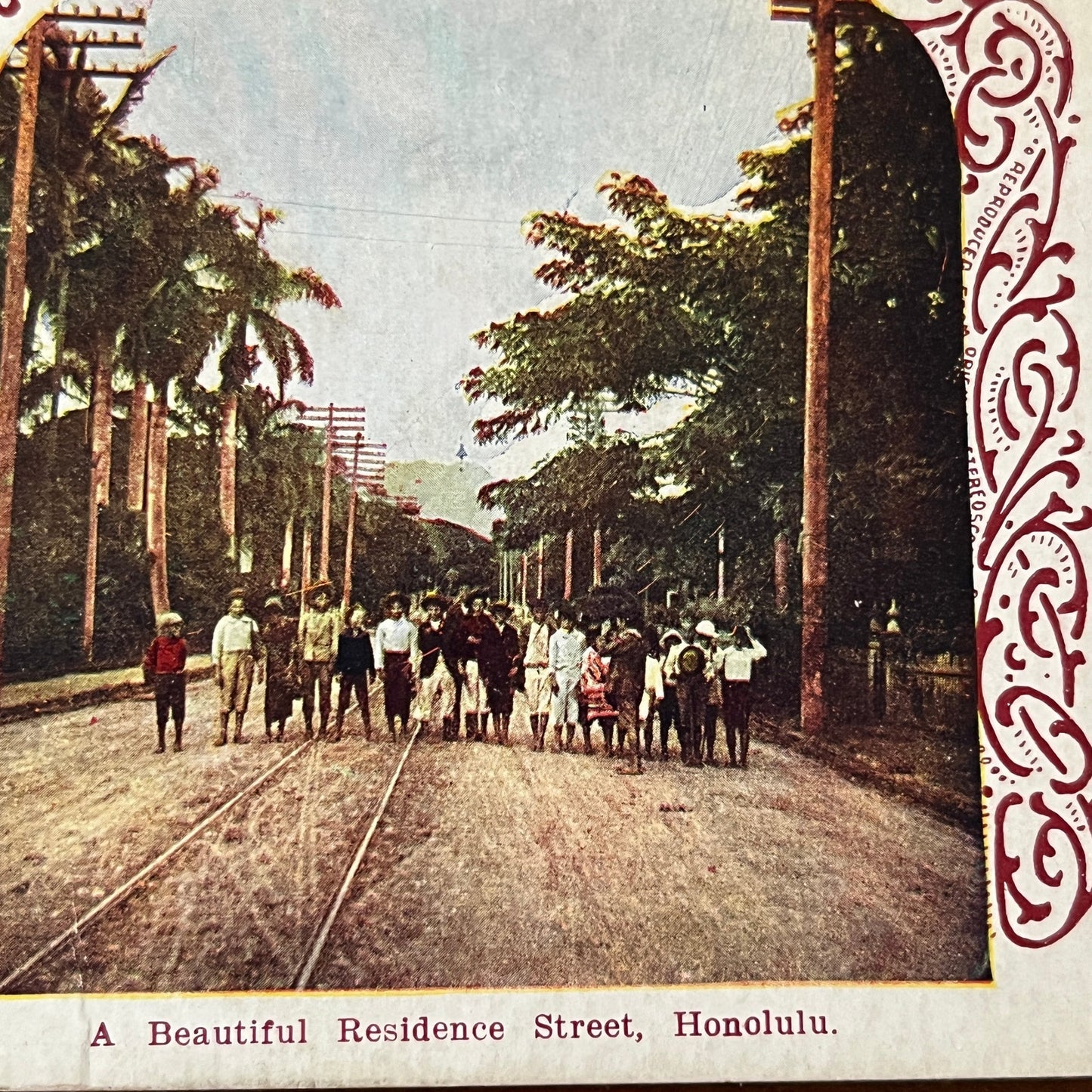 Beautiful Residential Street Honolulu Hawaii Color Antique Stereoview H2-6