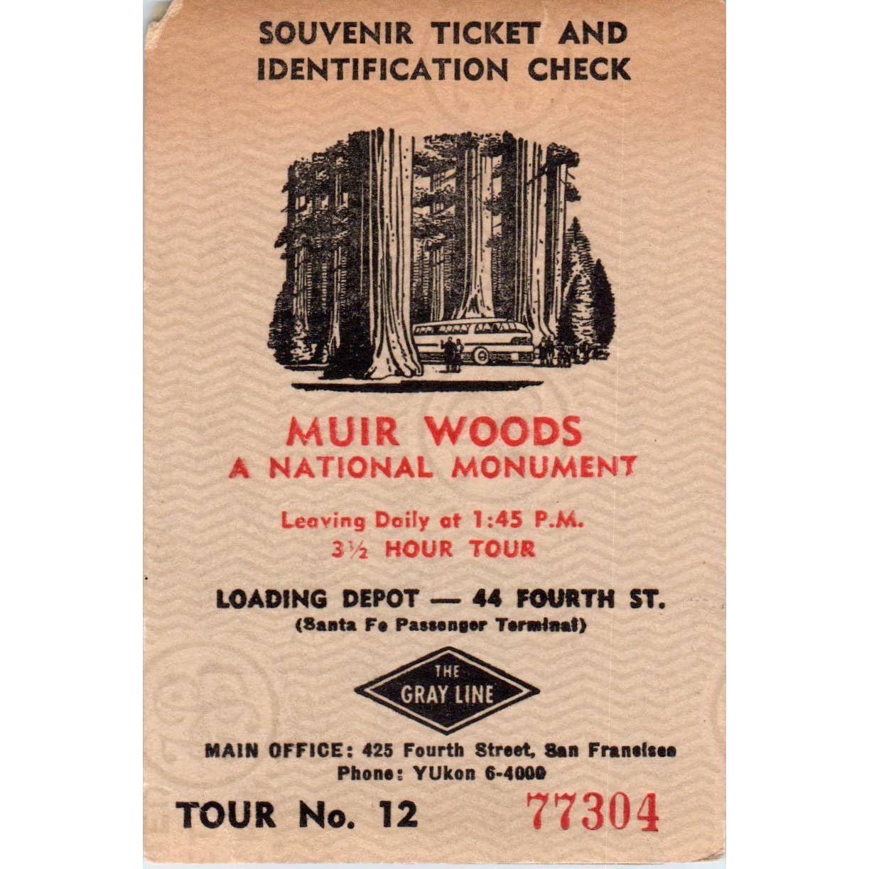 1940s Gray Line Muir Woods National Monument Tour Souvenir Postcard Card TK2-CC