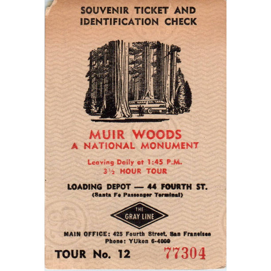 1940s Gray Line Muir Woods National Monument Tour Souvenir Postcard Card TK2-CC