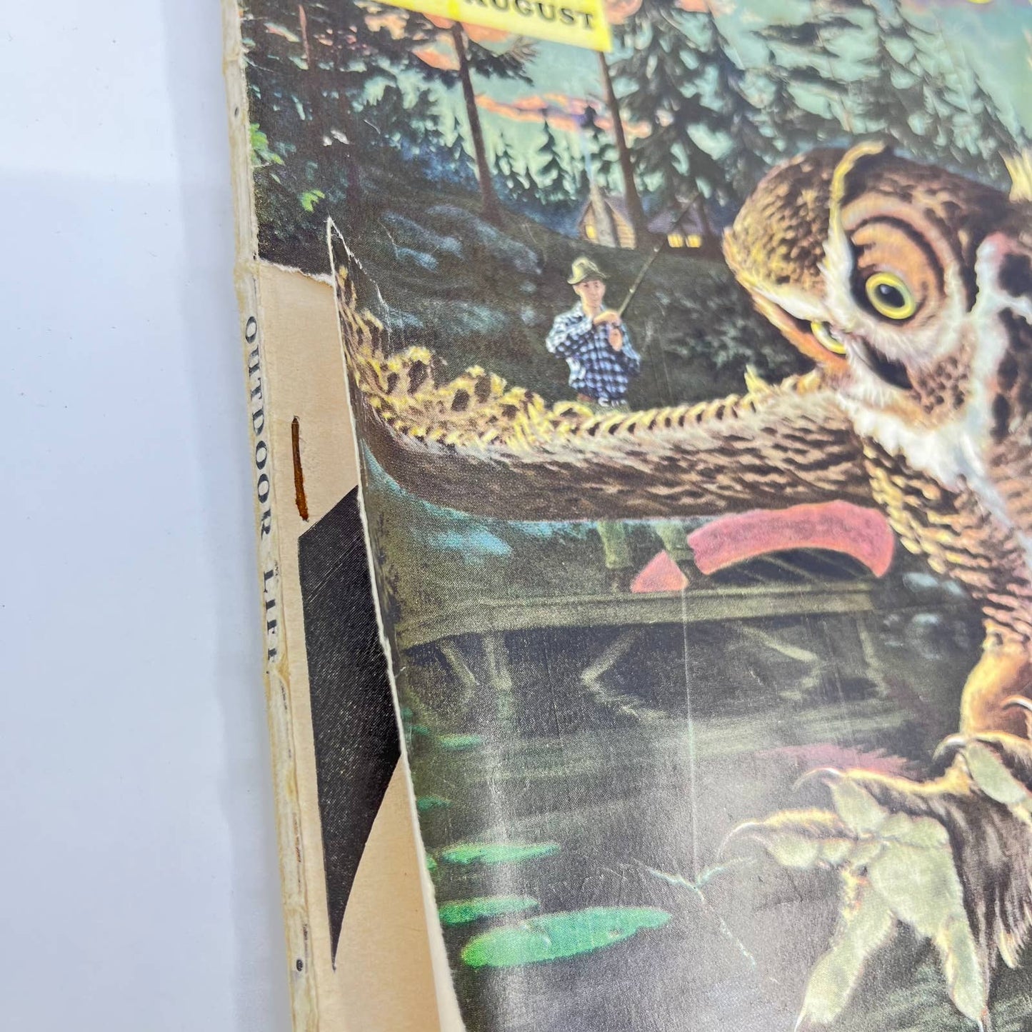 1954 Aug Outdoor Life Magazine Owl Art Bass Quail Deer Hunting TE8