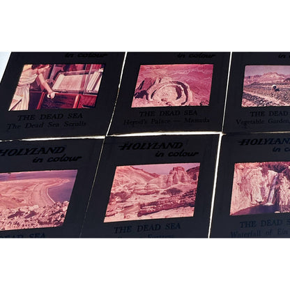 1960s Israel Holy Land in Color The Dead Sea Set of 6 2x2 Slides TK2-S2-13