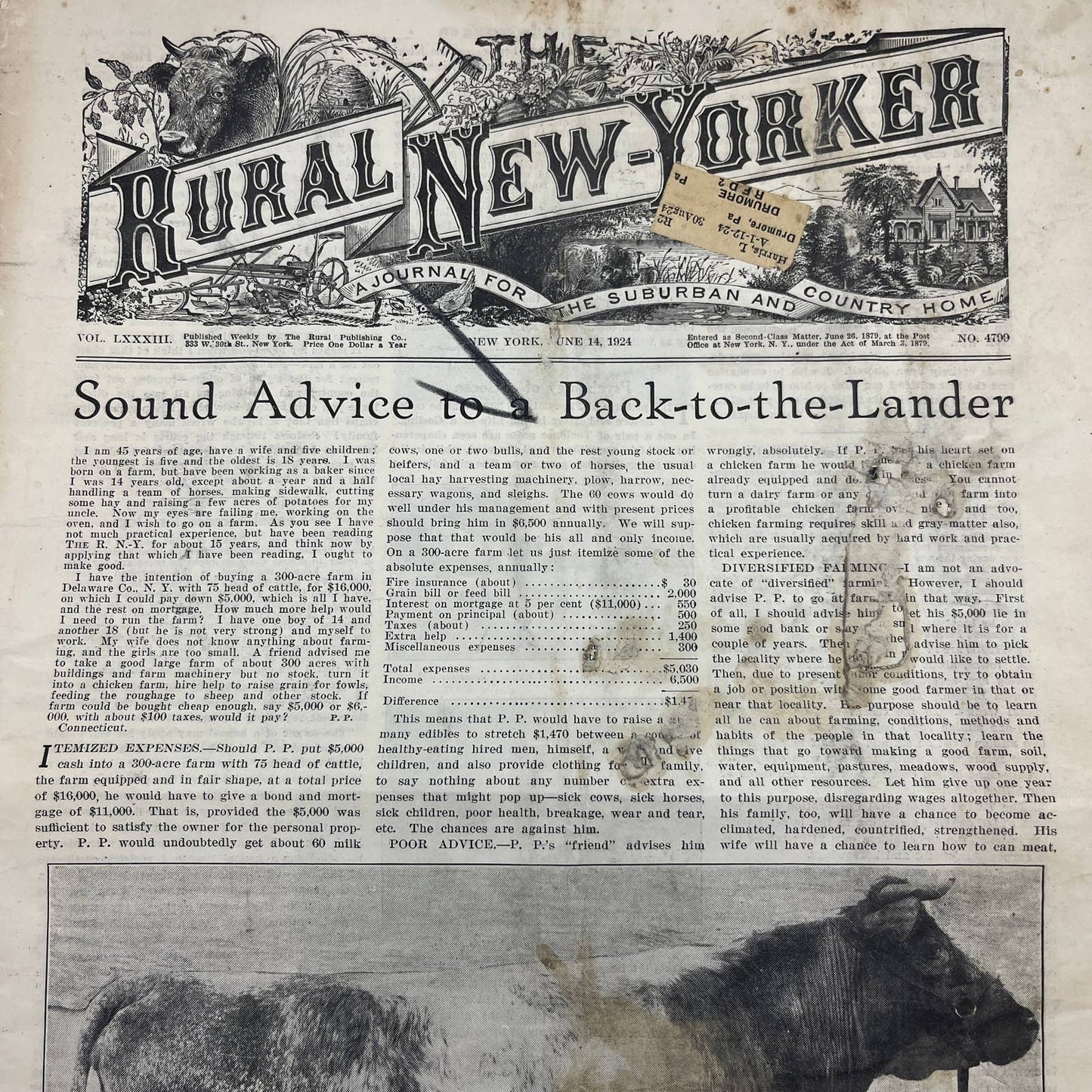 1924 The Rural New Yorker Magazine Milking Shorthorn Society Independence IA FL4