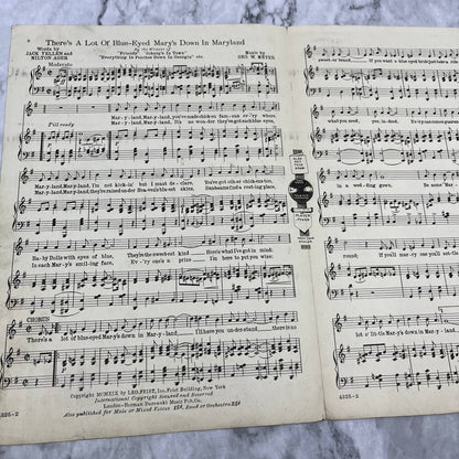 There's a Lot of Blue-Eyed-Marys Down in Maryland 1919 Sheet Music TK2-SM3