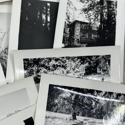 1939 Collection of Photos & Negatives of Yellowstone Park in the Winter TJ9-PG6