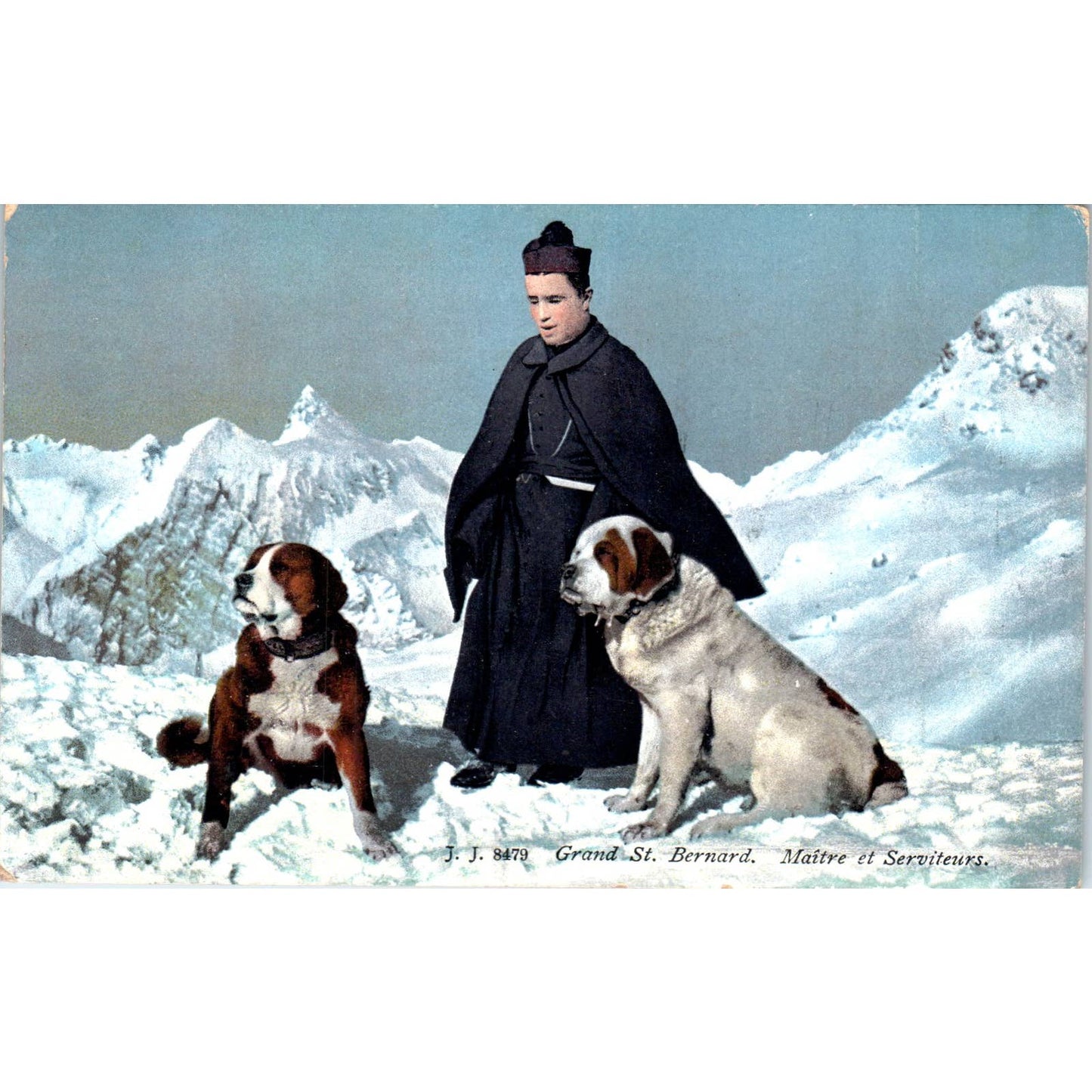Grand Saint Bernard Dogs French c1910 Original Postcard TK1-27