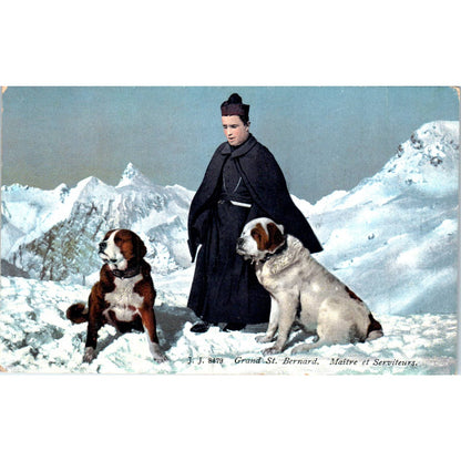 Grand Saint Bernard Dogs French c1910 Original Postcard TK1-27