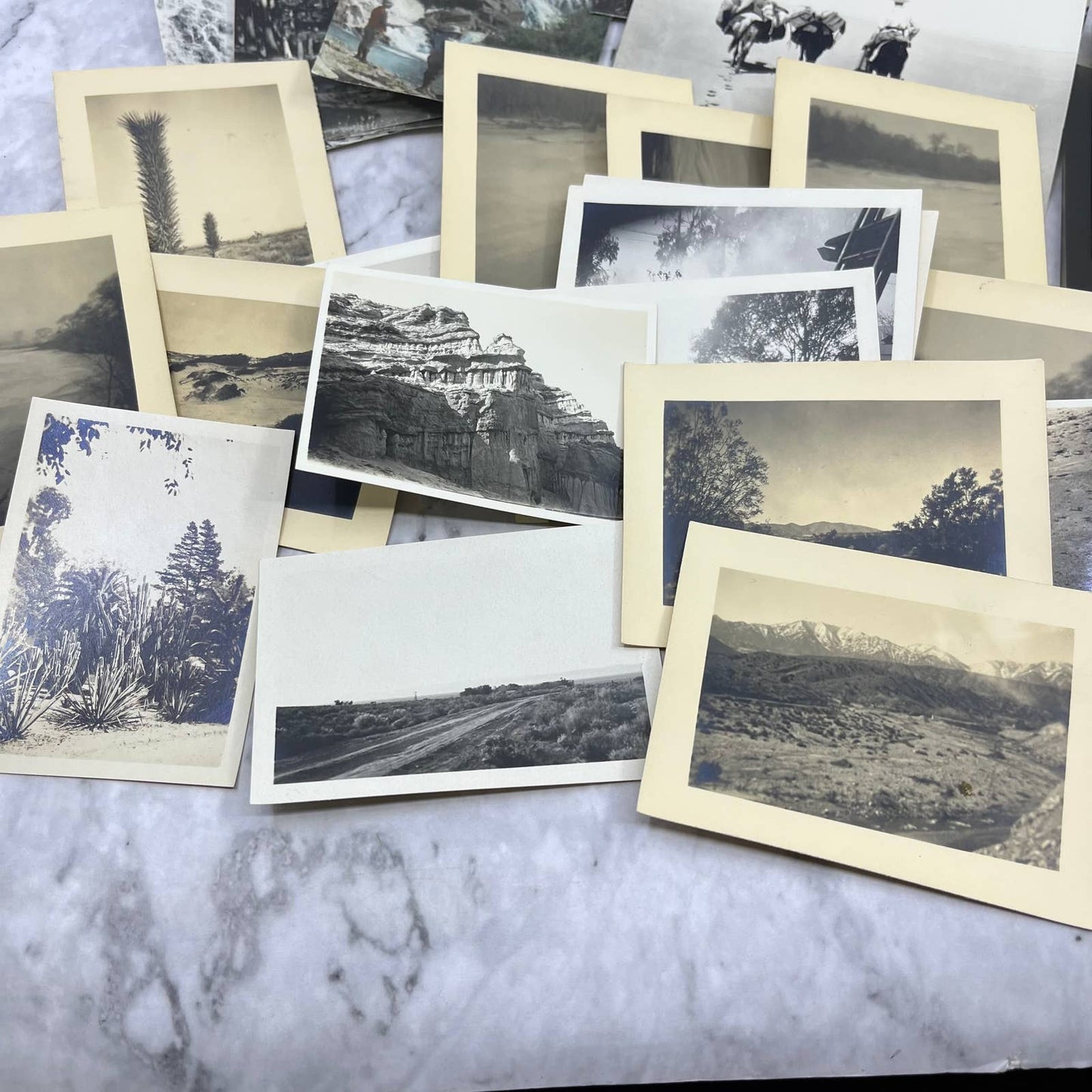 1920s Collection of Photos & Negatives of California Landscape Views TJ8