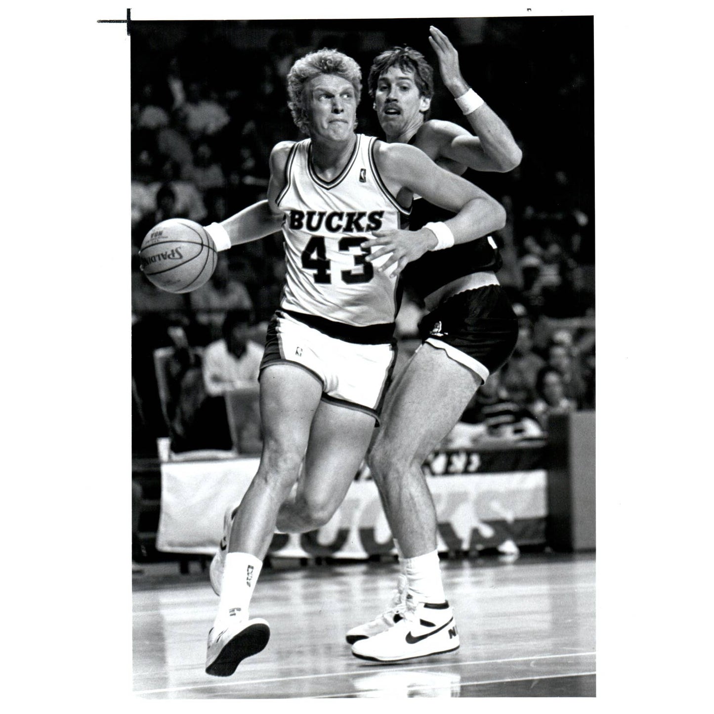 1986 Press Photo Basketball NBA Milwaukee Bucks Jack Sikma 8x10" AD3-3