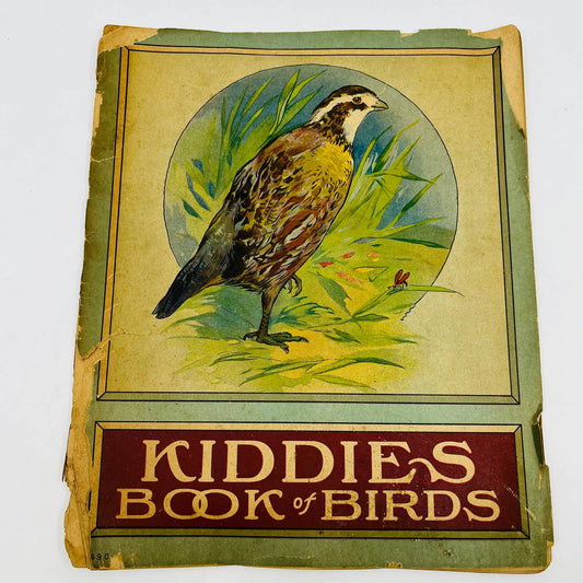 1918 Kiddies Book of Birds Illustrated Children’s Book TD6