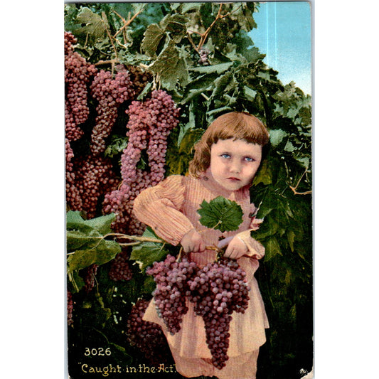 Caught in the Act Girl Picking Grapes 1913 Original Postcard P2-3