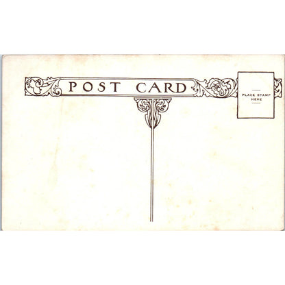 The Albany Hotel Royal Promenade Denver Colorado Original Postcard TK1-29