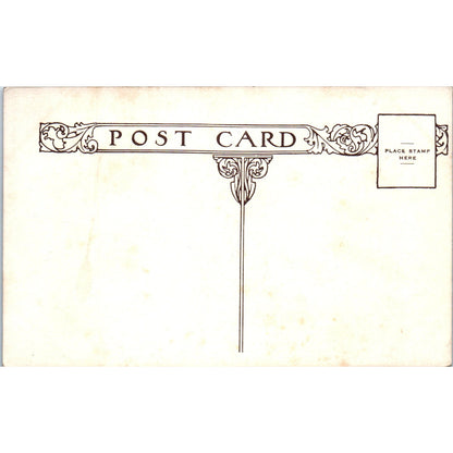 The Albany Hotel Royal Promenade Denver Colorado Original Postcard P1-11
