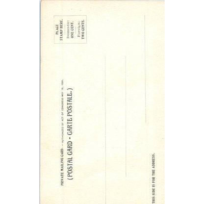 Point Lookout and Falls Yellowstone Park Original Postcard TK1-P15