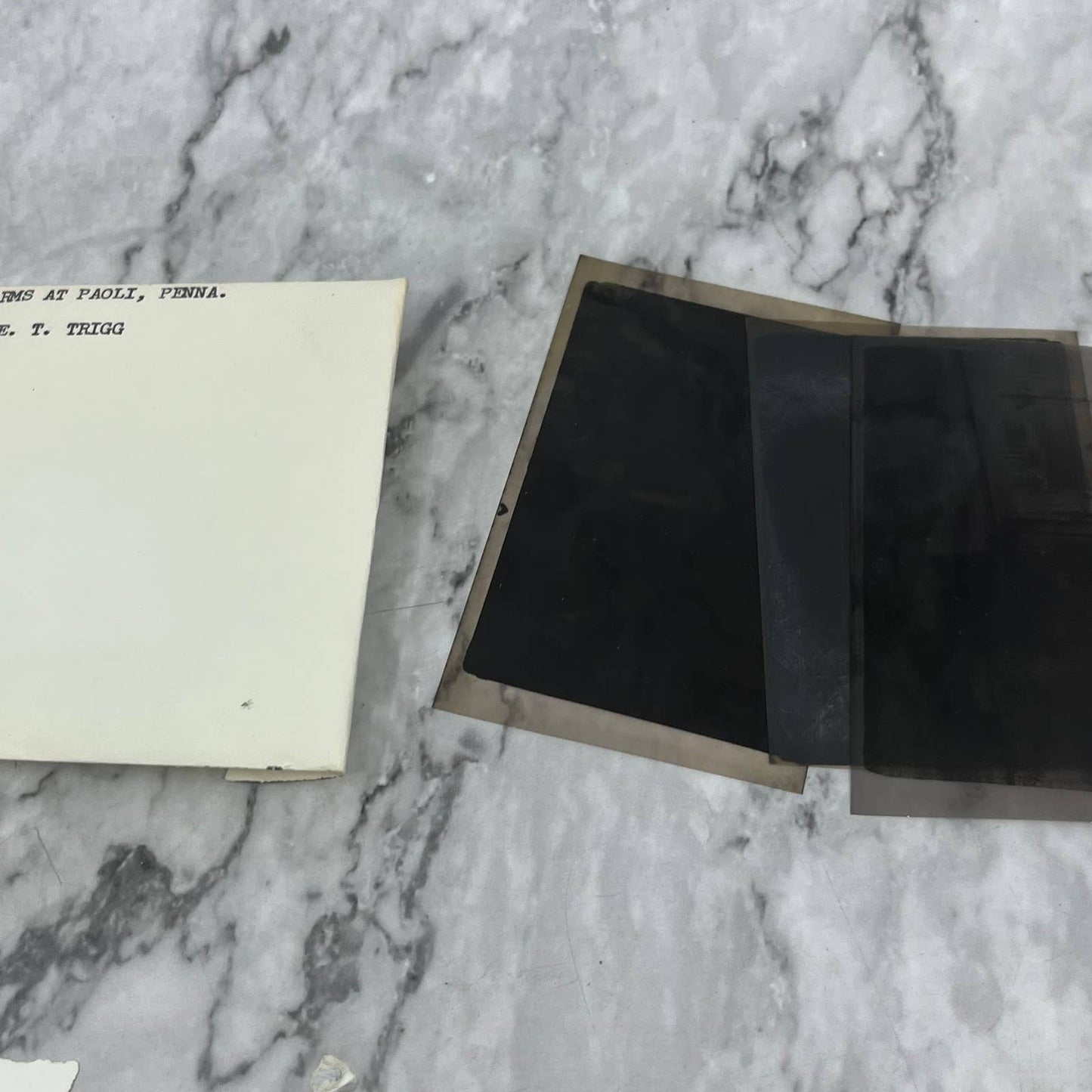 1930s Collection of Photos & Negatives Talhern Farms Paoli PA E.T. Trigg TK1-PL