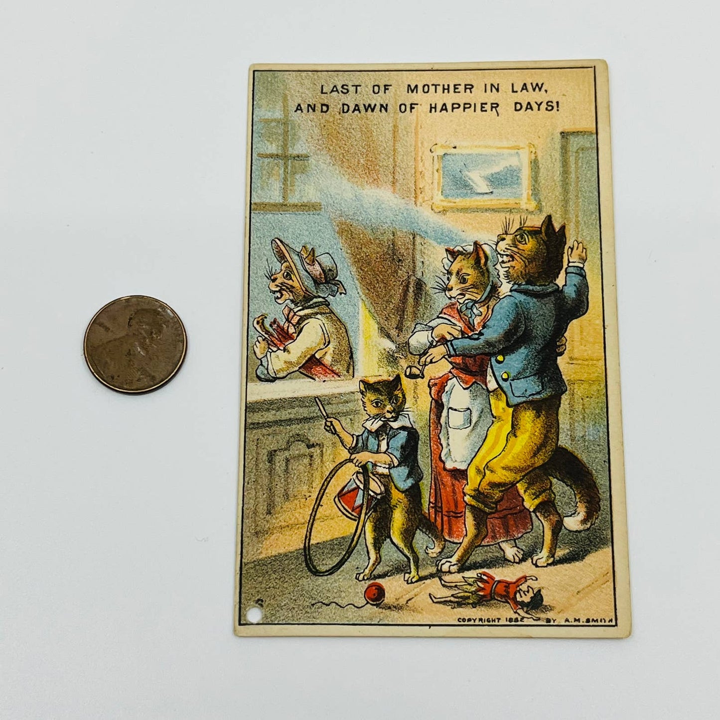 1882 Trade Card Last of Mother in Law Anthropomorphic Cats Brooklyn NY AA2