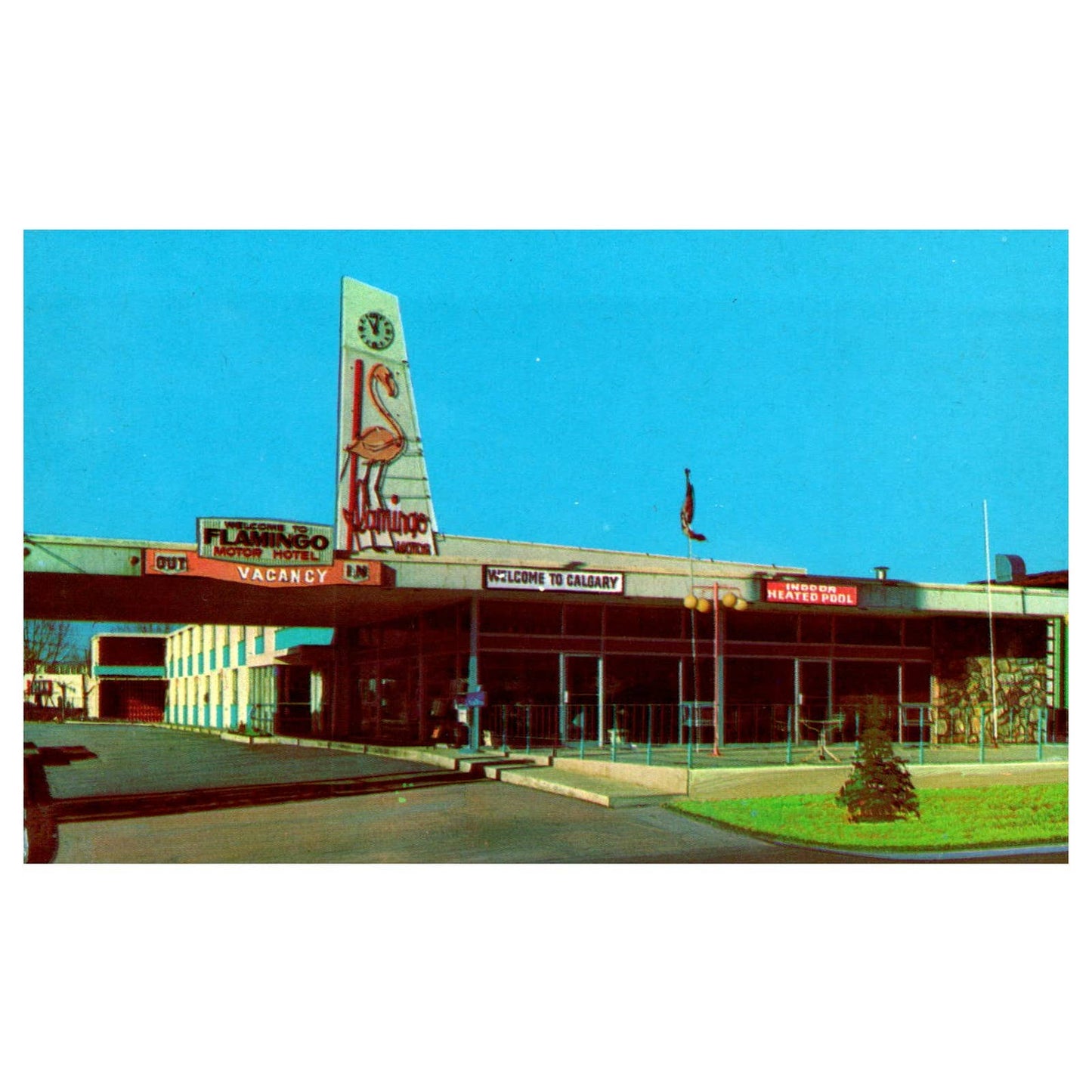 Vintage Postcard - Keith & Marianne Stuart Flamingo Motor Hotel Calgary TJ7-1