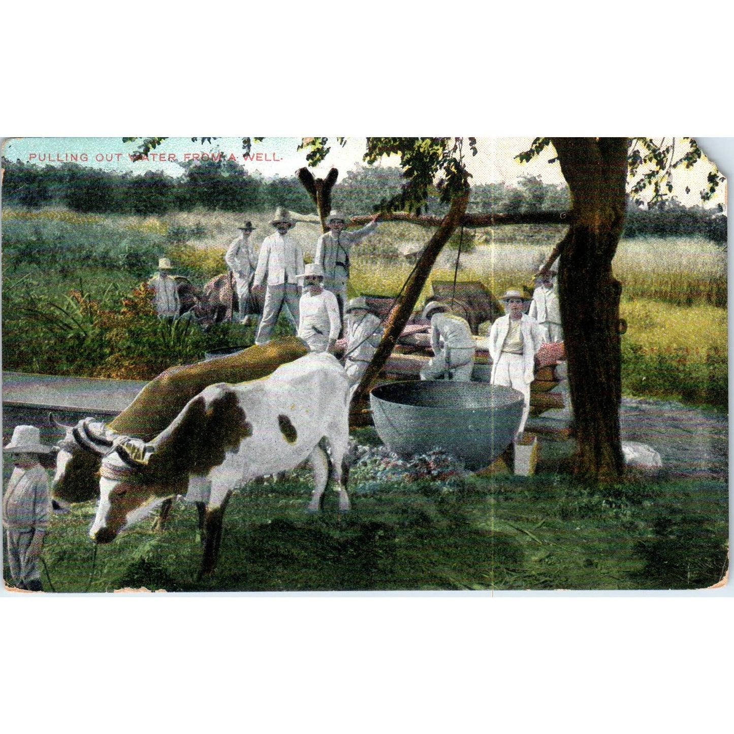 Pulling Out Water From a Well 1911 Havana Cuba Original Postcard TK1-P16