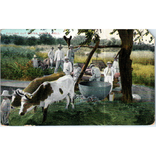 Pulling Out Water From a Well 1911 Havana Cuba Original Postcard TK1-P16
