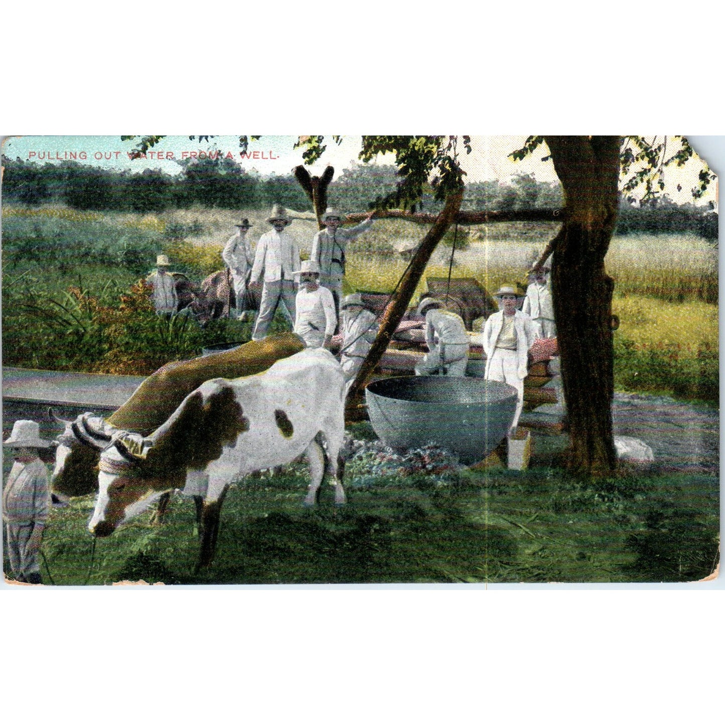Pulling Out Water From a Well 1911 Havana Cuba Original Postcard P3-1