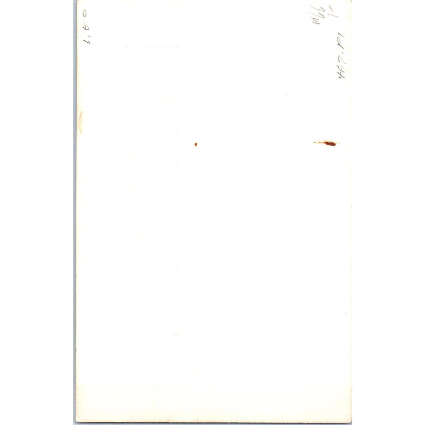 Beautiful Scenery Redwood Highway RPPC Original Postcard TK1-P12