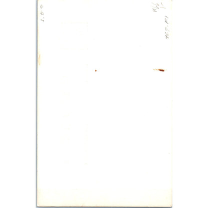 Beautiful Scenery Redwood Highway RPPC Original Postcard TK1-P12