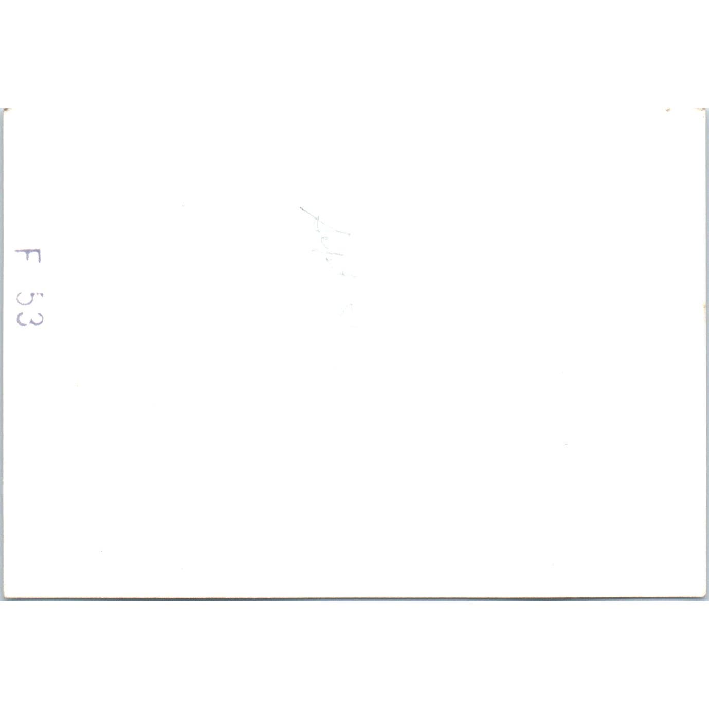 1951 Original Photograph Polo Grounds Stadium NY Photo 3.45x4.5 AD8-P3